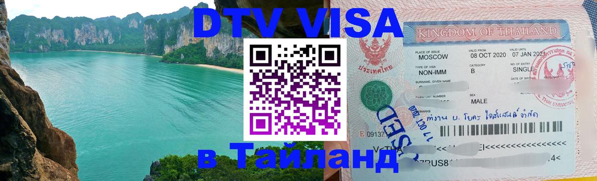 Оформление DTV визы под ключ: стоимость и тарифы, только загранпаспорт - Пушкино 